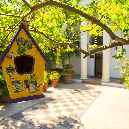 Resort Lykia Premium Concept 4*