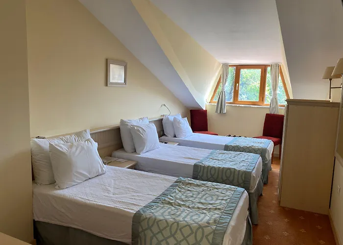 Lykia Premium Concept