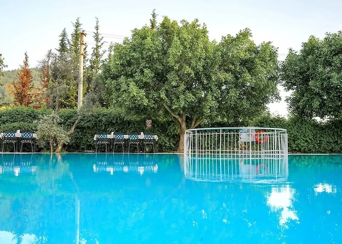 Lykia Premium Concept