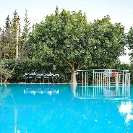 جوسيك ليكيا