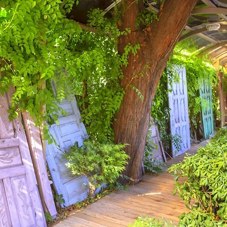 Complex Lykia Premium Concept 4*